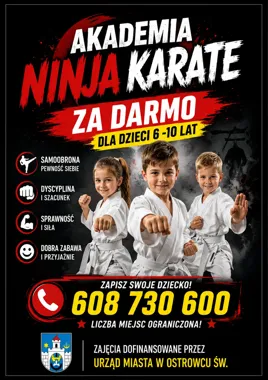 Obraz do artykułu: Bezpłatne karate dla dzieci w Ostrowcu Świętokrzyskim. Liczba miejsc jest ograniczona