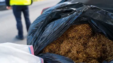 Ponad 12 kilogramów tytoniu w Ostrowcu. 33-latek stanie przed sądem