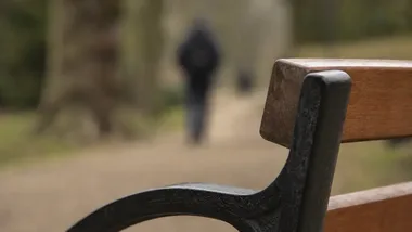 48,8 mln zł dla Ostrowca na wielką przebudowę miejskiej zieleni