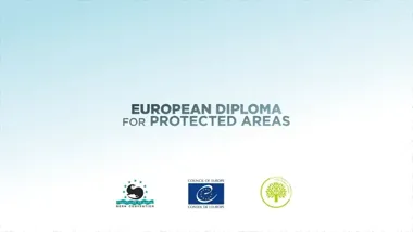 Krzemionki zaliczyły europejski test. Ostrowiec ma powód do dumy