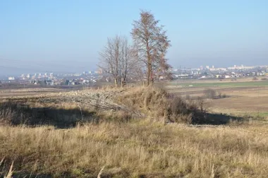 Goździelin pod Ostrowcem ma więcej tajemnic, niż widać z drogi