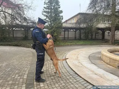 Ostrowieckie psy policyjne - rzadki zasób do wykrywania materiałów wybuchowych
